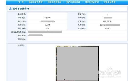 违章视频查询,一探究竟，揭秘违规瞬间